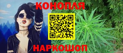 дживик Будённовск