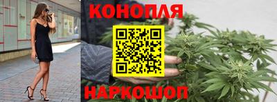 дживик Будённовск
